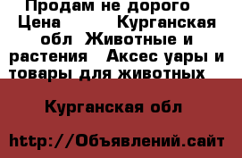 Продам не дорого. › Цена ­ 200 - Курганская обл. Животные и растения » Аксесcуары и товары для животных   . Курганская обл.